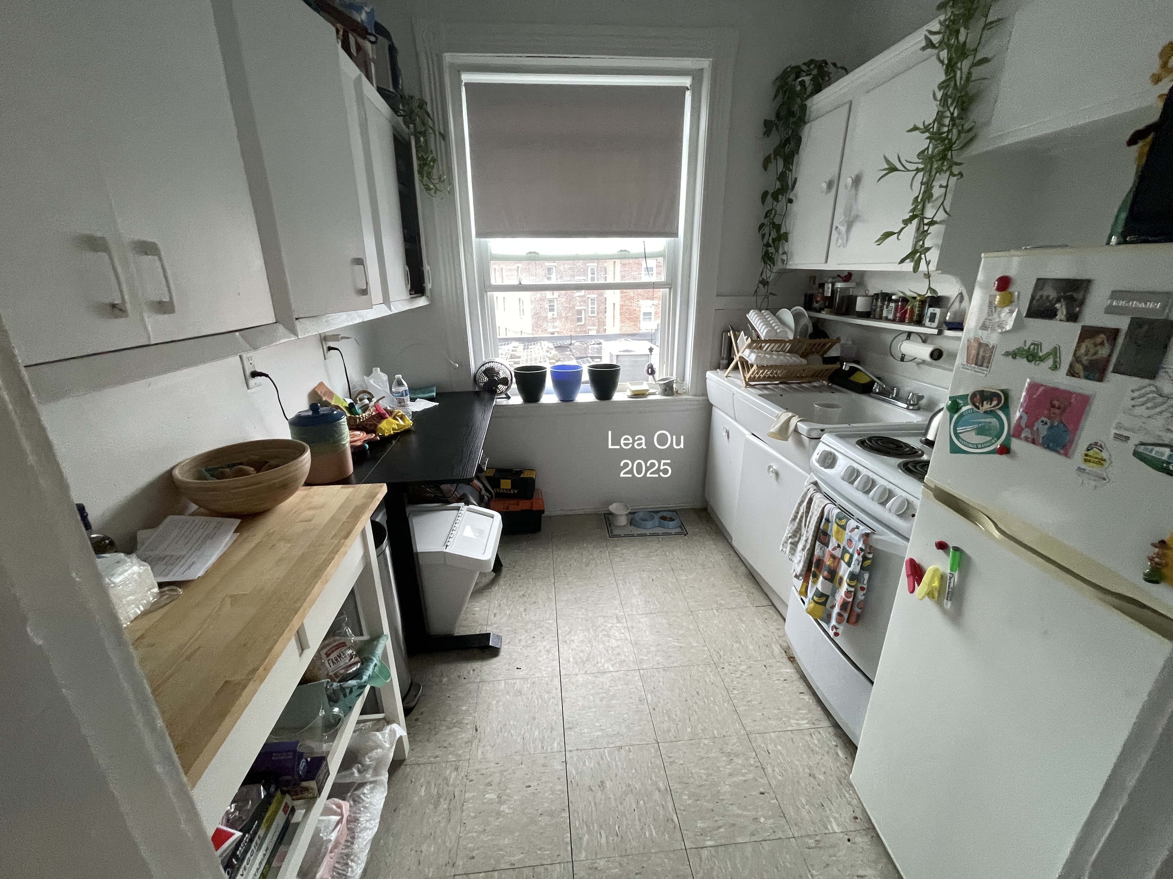 1 bed, 1 bath apartment for rent at 1350 Commonwealth Ave Unit 18, Allston — photo 5 of 13