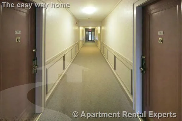 Studio bed, 1 bath apartment for rent at 136 Highland Ave Unit 6, Spring Hill — photo 4 of 5