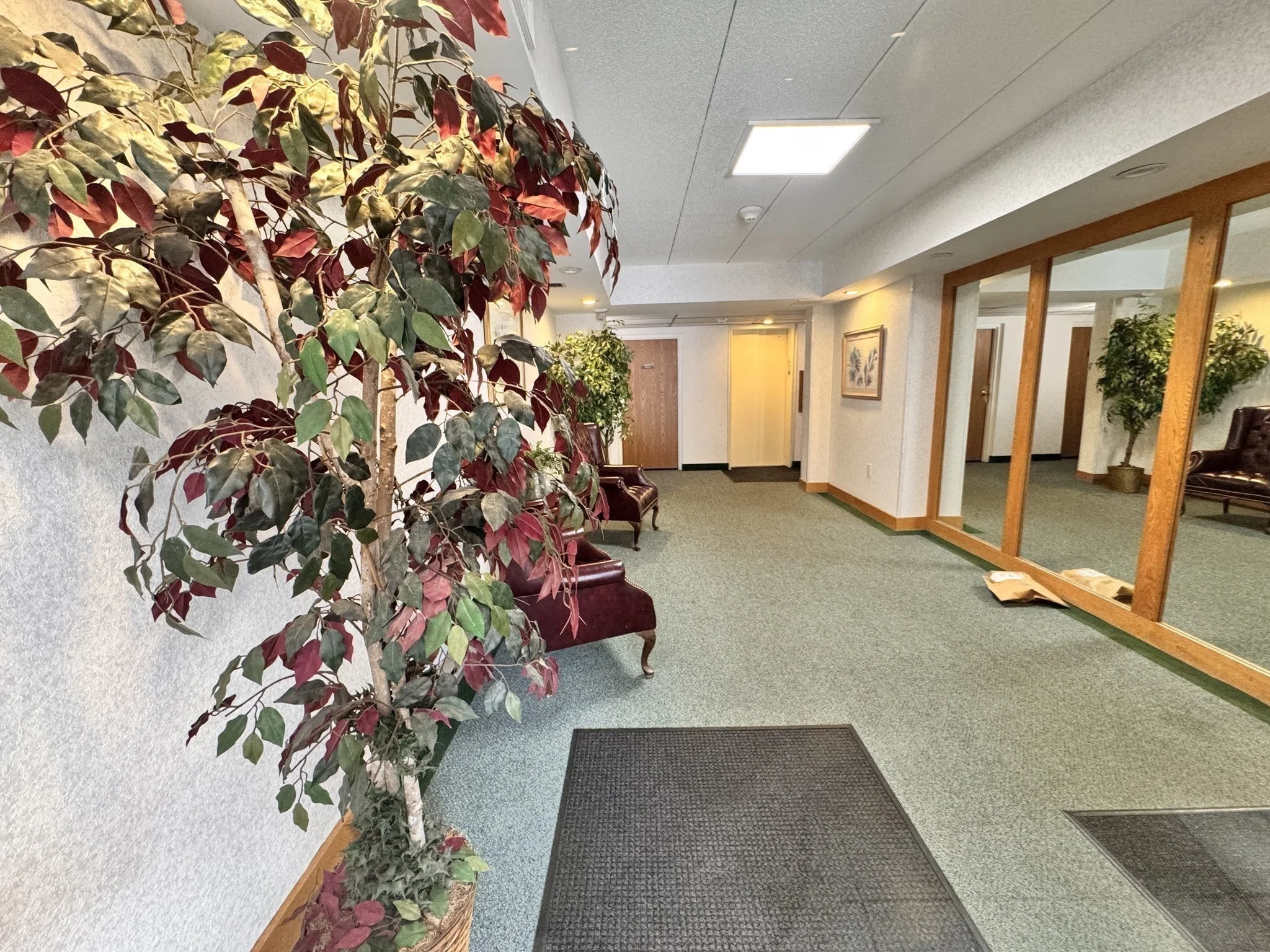 2 bed, 2 bath apartment for rent at 137 Franklin St Unit 304, Stoneham — photo 6 of 27