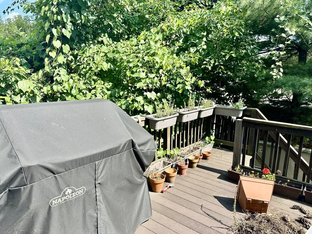 3 bed, 2 bath apartment for rent at 138 Webster St Unit 1, Newton — photo 6 of 9