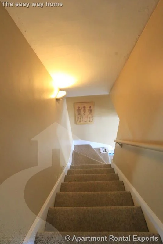 4 bed, 2 bath apartment for rent at 138 West Adams St, Tufts — photo 12 of 20