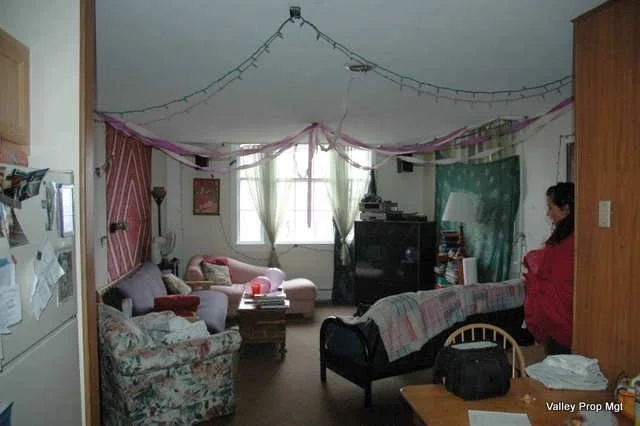 4 bed, 2 bath apartment for rent at 1381 South East St Unit N/A, Amherst — photo 4 of 5