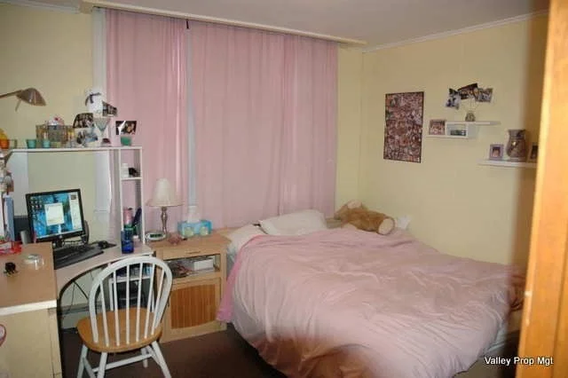 4 bed, 2 bath apartment for rent at 1381 South East St Unit N/A, Amherst — photo 5 of 5