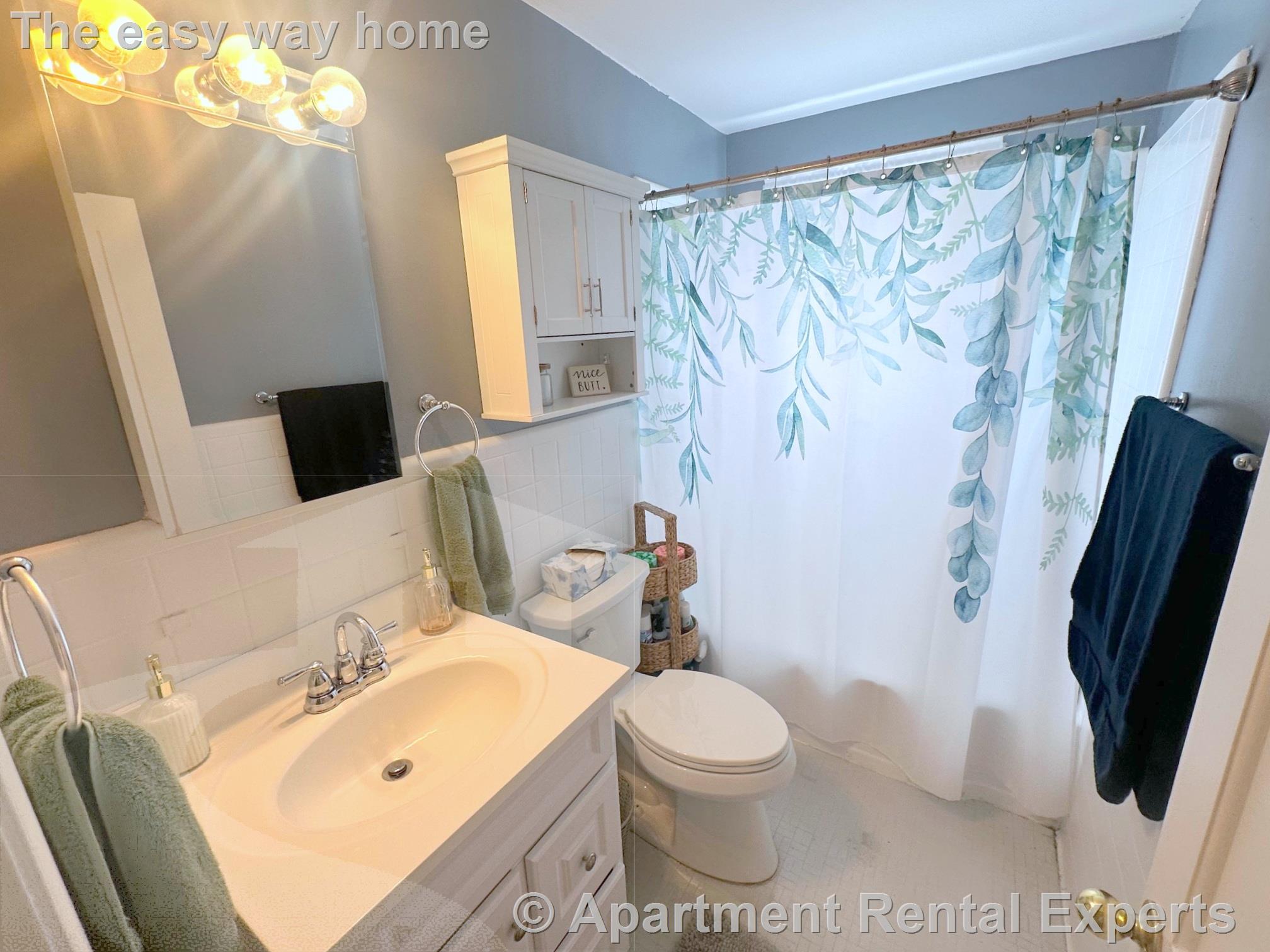 2 bed, 1 bath apartment for rent at 139 Winthrop St, Tufts — photo 8 of 14