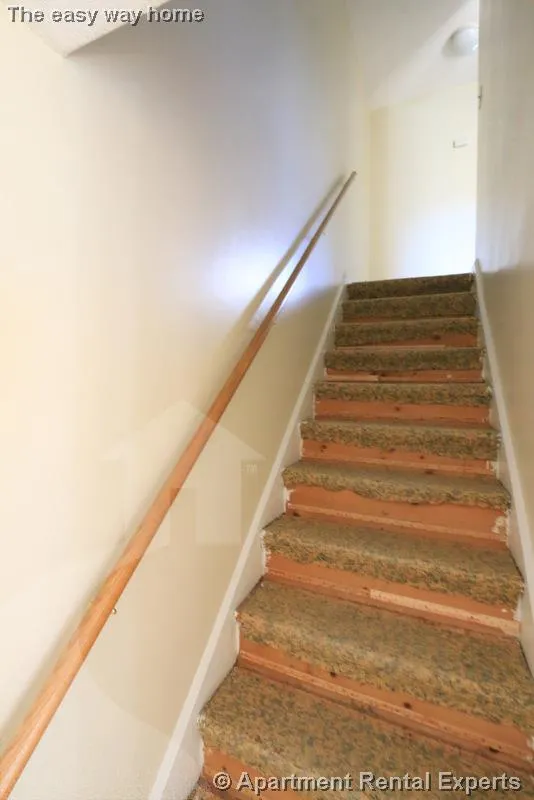 2 bed, 1 bath apartment for rent at 13B Suffolk St, Central Square — photo 6 of 15