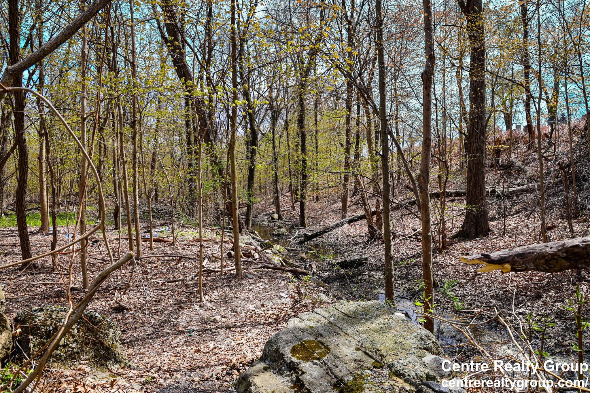 2 bed, 1 bath apartment for rent at 14 Bryon Rd Unit 6, Chestnut Hill — photo 17 of 18