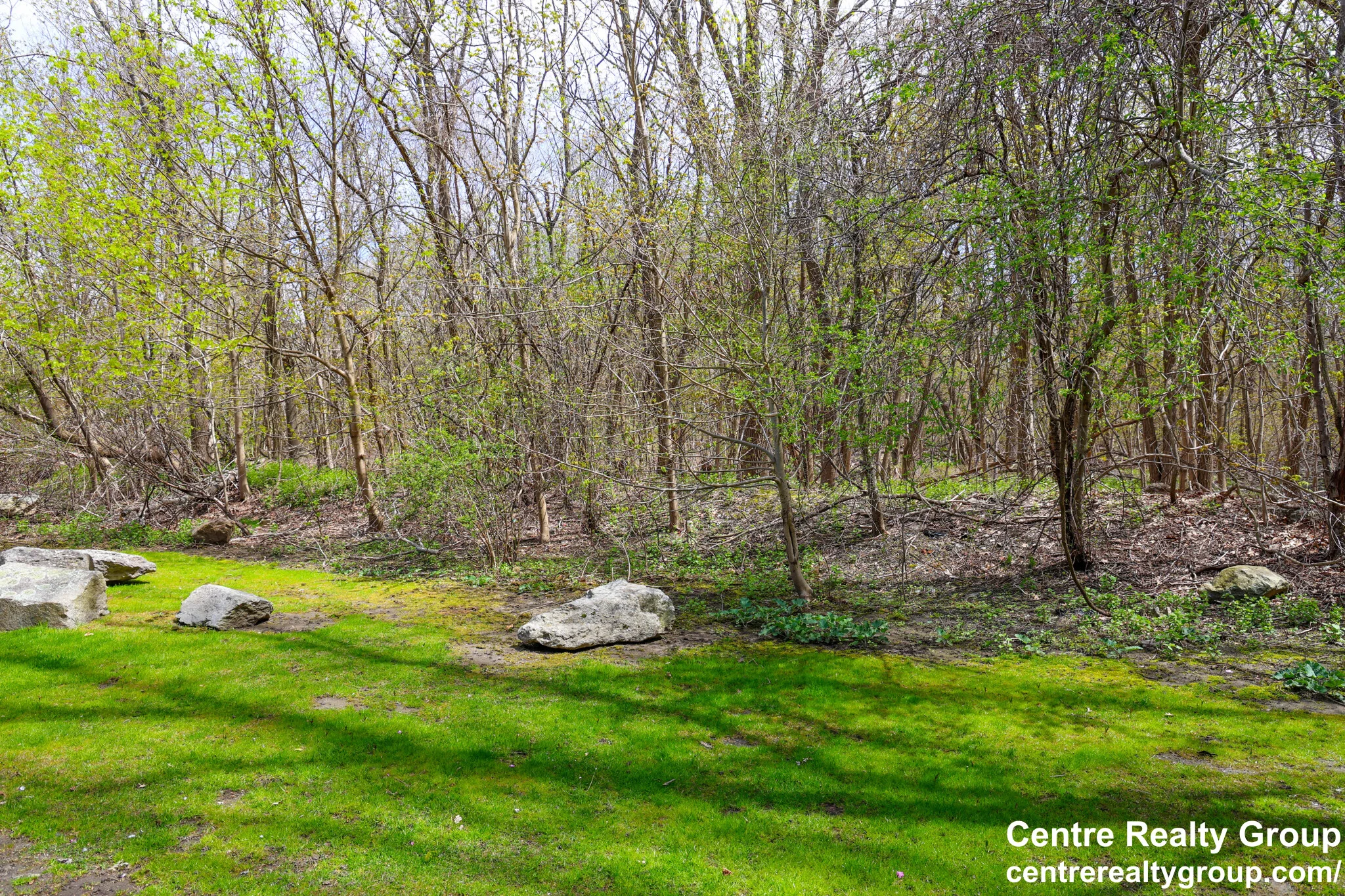 2 bed, 1 bath apartment for rent at 14 Bryon Rd Unit 6, Chestnut Hill — photo 15 of 18