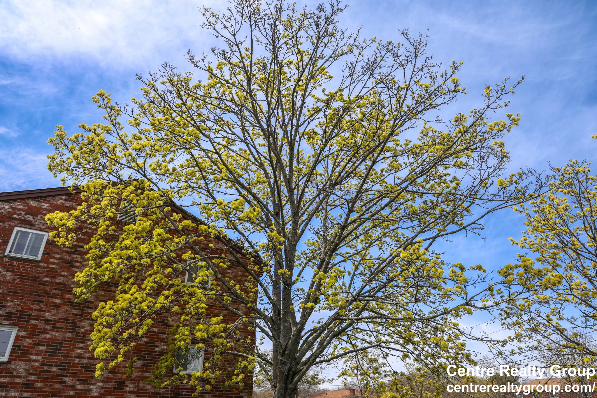 2 bed, 1 bath apartment for rent at 14 Bryon Rd Unit 6, Chestnut Hill — photo 18 of 18
