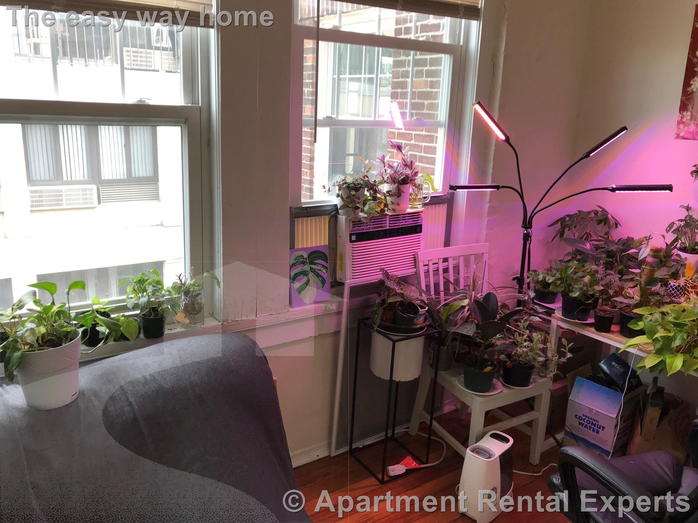 3 bed, 1 bath apartment for rent at 14 Centre St Unit 7, Central Square