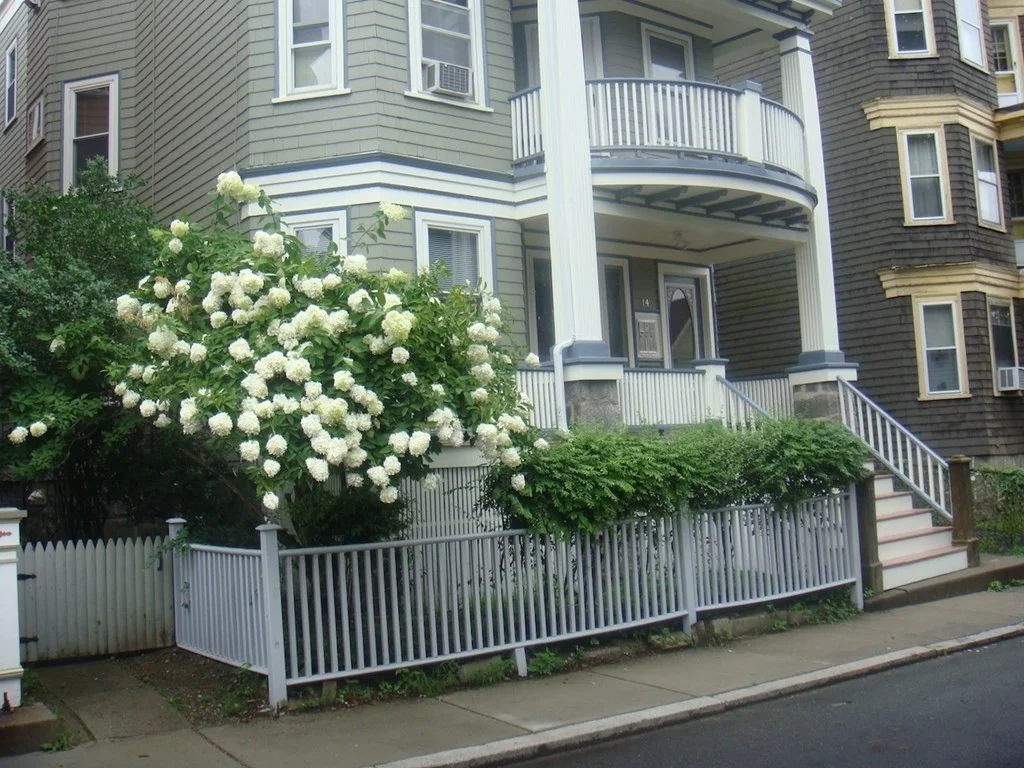 2 bed, 1 bath apartment for rent at 14 Dawes St Unit 1, Dorchester — photo 8 of 28