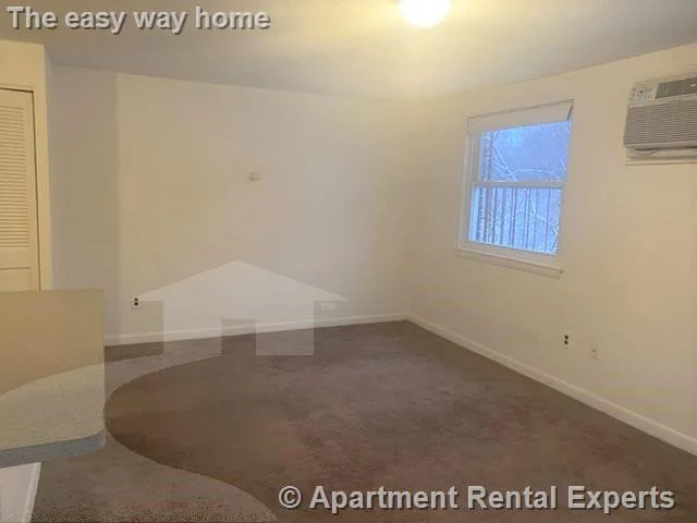 Studio bed, 1 bath apartment for rent at 14 Dudley St Unit 12, Arlington Center — photo 3 of 6