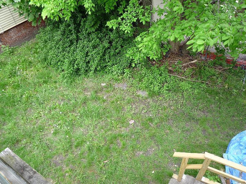4 bed, 2 bath apartment for rent at 14 Everett St Unit 2, Ward Two — photo 9 of 10