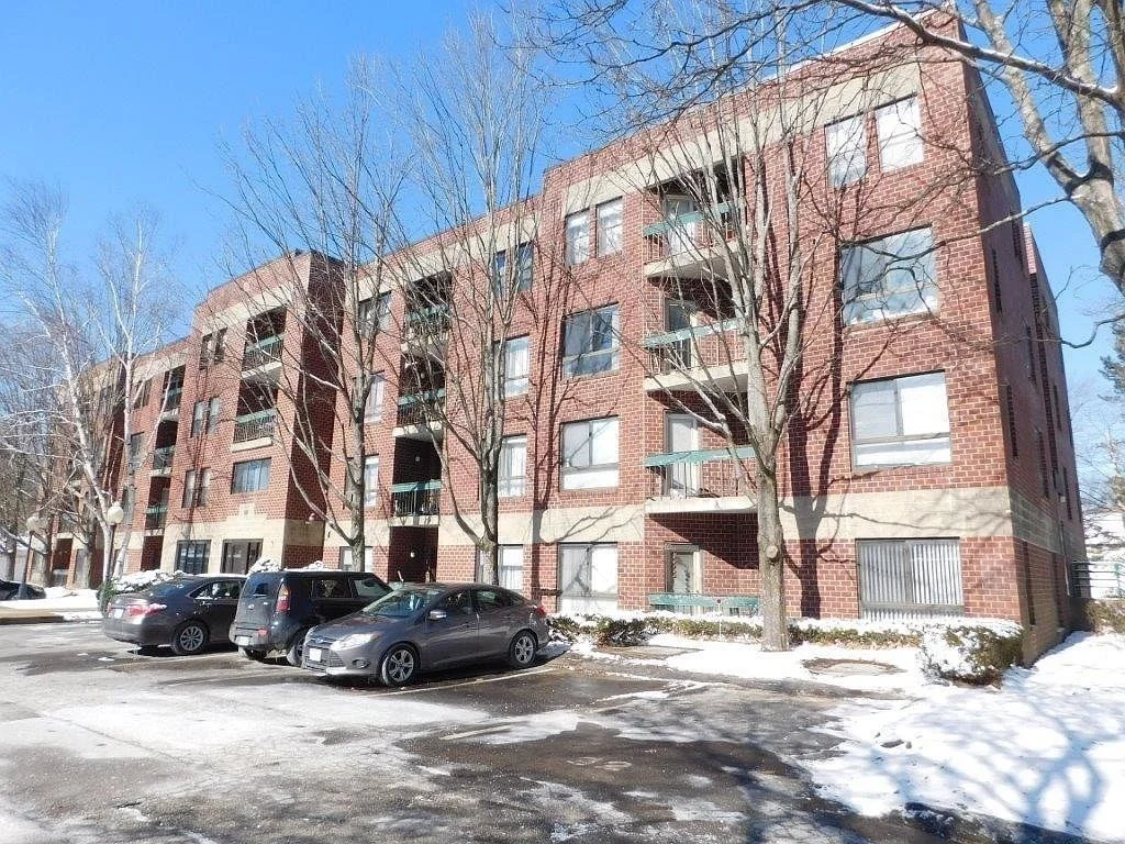 2 bed, 1 bath apartment for rent at 14 Heron St Unit 204, Boston — photo 1 of 13