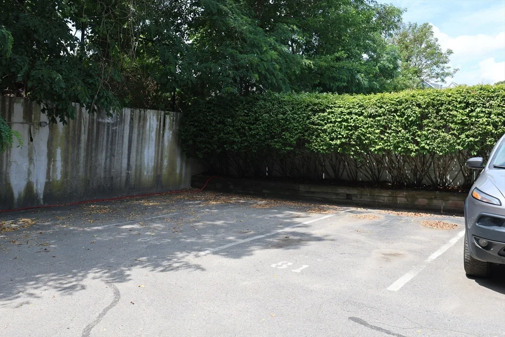 2 bed, 1 bath apartment for rent at 14 Heron St Unit 410, West Roxbury — photo 12 of 16