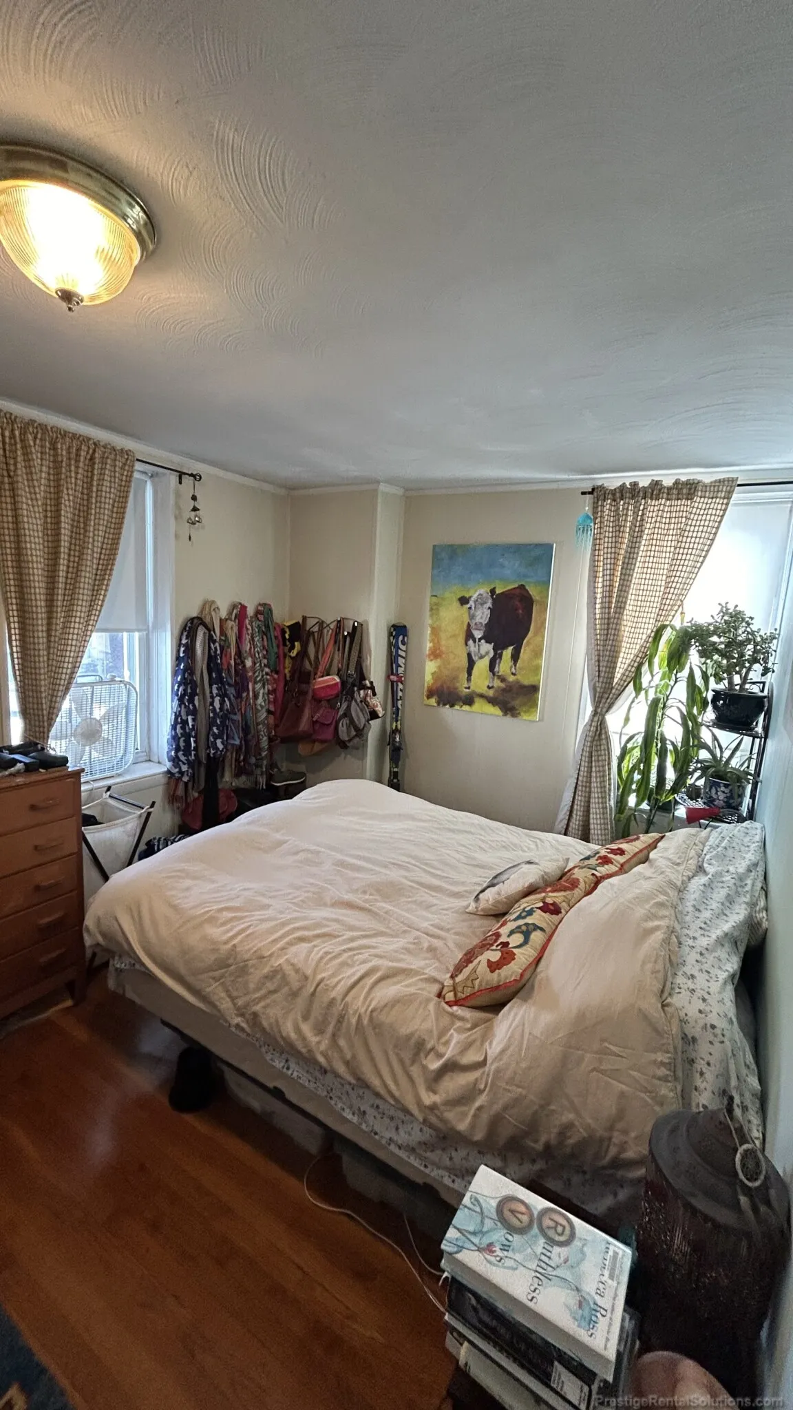 1 bed, 1 bath apartment for rent at 14 Hyde Park Ave Unit 1A, Jamaica Plain — photo 3 of 11