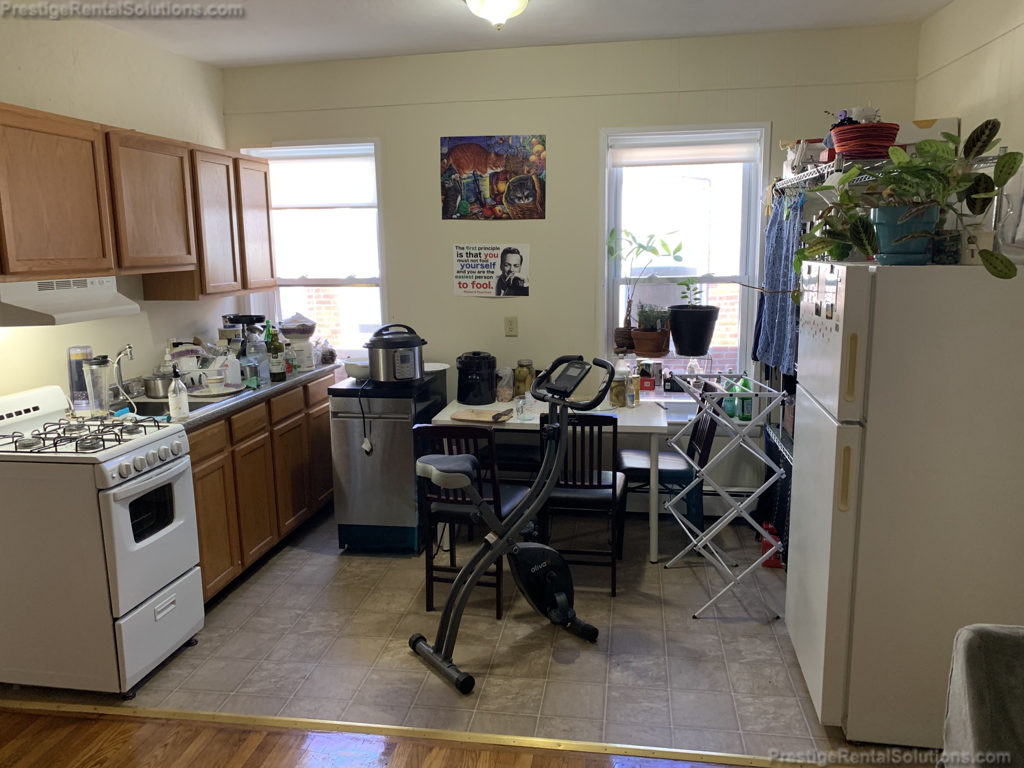 1 bed, 1 bath apartment for rent at 14 Hyde Park Ave Unit 4, Jamaica Plain