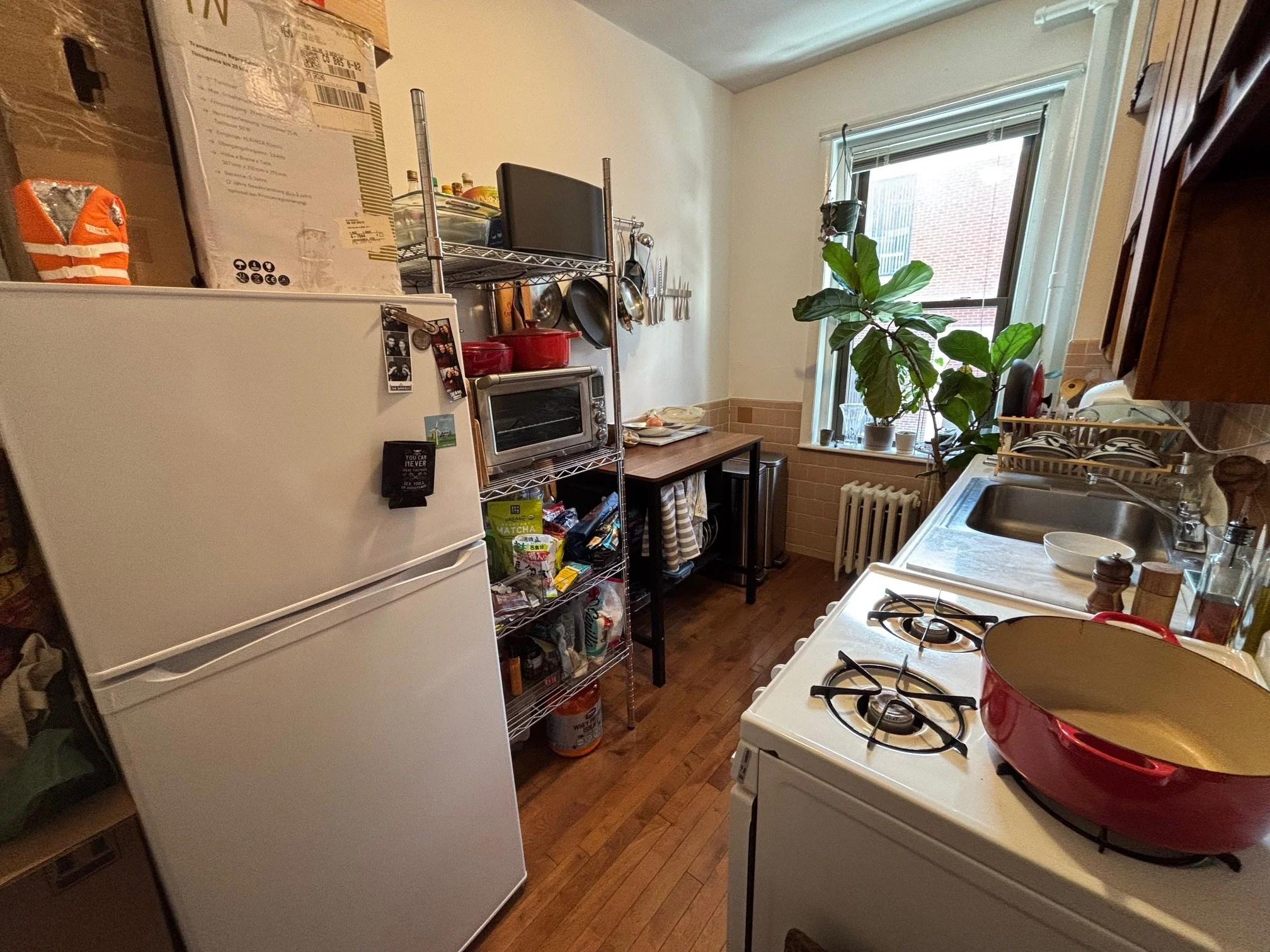 1 bed, 1 bath apartment for rent at 14 Irving St Unit 3, Beacon Hill — photo 3 of 10