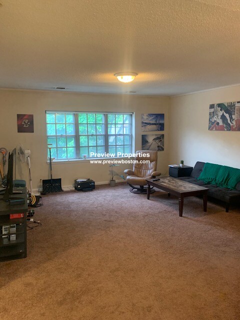 3 bed, 2 bath apartment for rent at 14 Lake Shore Ct Unit 3, Brighton — photo 3 of 13