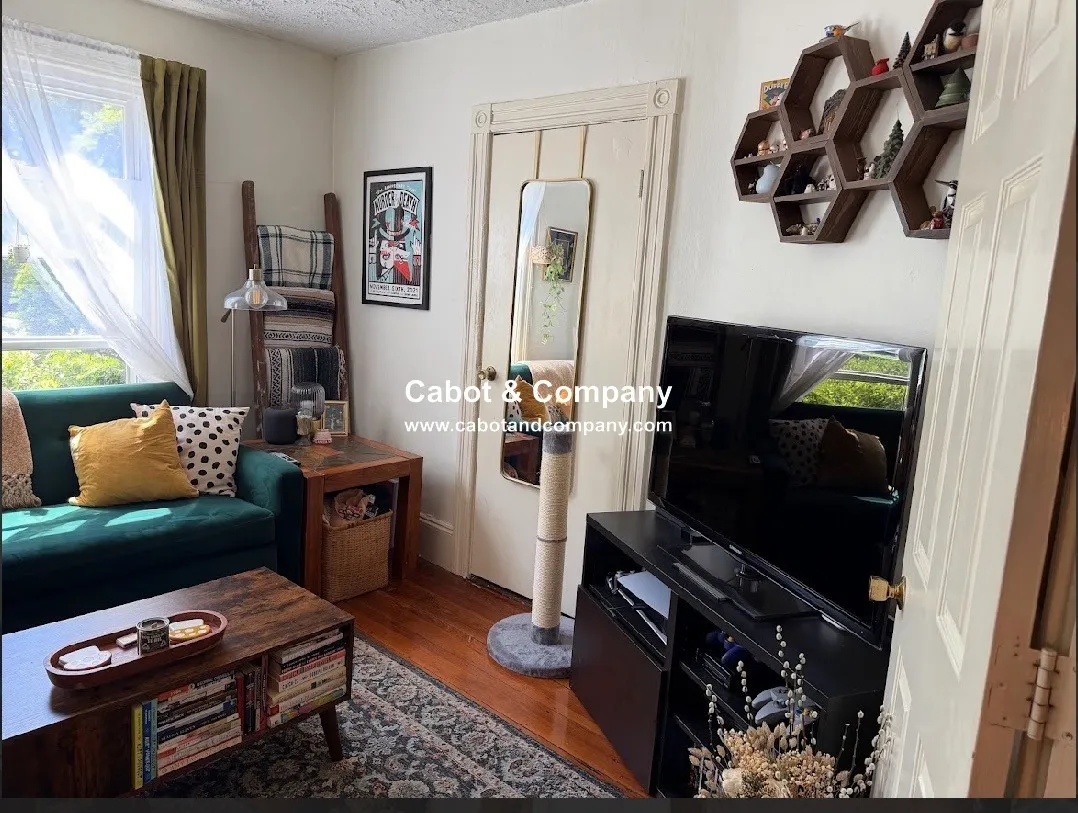 2 bed, 1 bath apartment for rent at 14 Mead St Unit 1A, Allston — photo 7 of 10