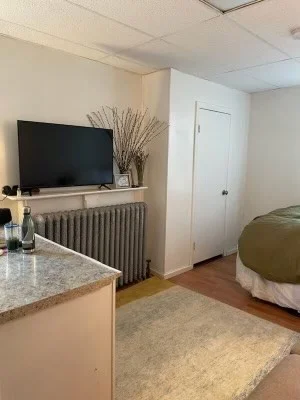 Studio bed, 1 bath apartment for rent at 14 Monument Sq Unit 2-5, Charlestown — photo 3 of 6