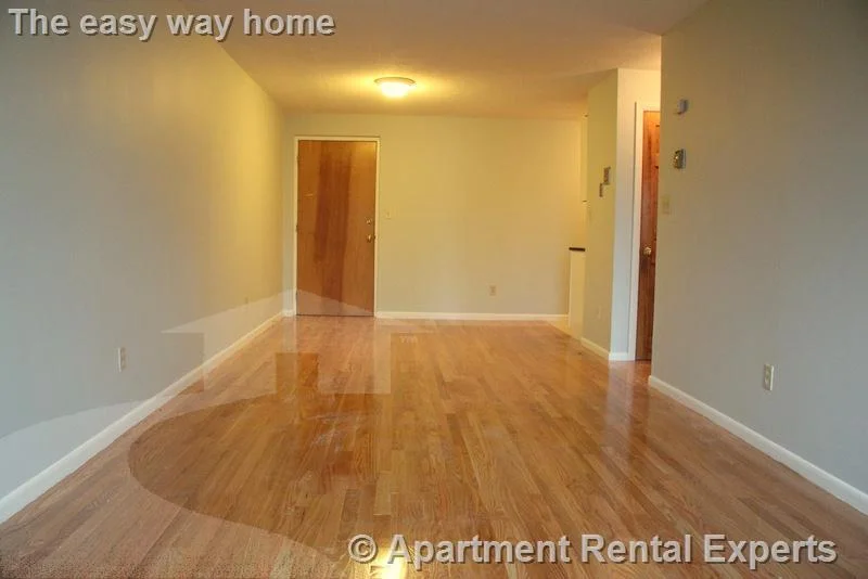 1 bed, 1 bath apartment for rent at 14 Murdock St Unit 2-7, Ball Square — photo 2 of 11