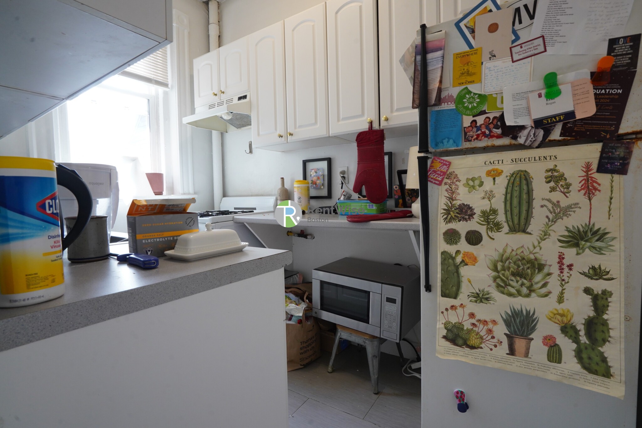 1 bed, 1 bath apartment for rent at 14 Orkney Rd Unit 26, Brighton — photo 6 of 17