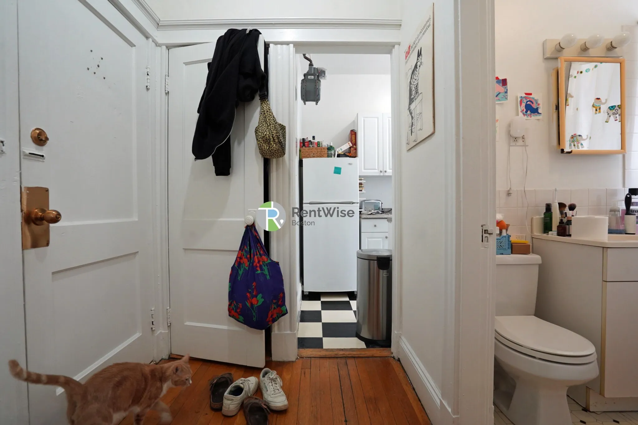 Studio bed, 1 bath apartment for rent at 14 Orkney Rd Unit 32, Brighton — photo 7 of 15