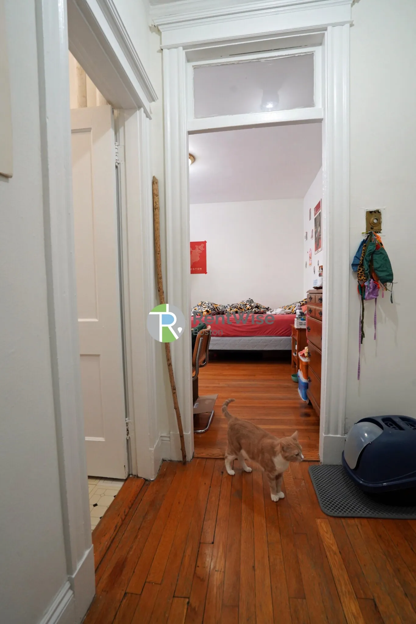 Studio bed, 1 bath apartment for rent at 14 Orkney Rd Unit 32, Brighton — photo 6 of 15