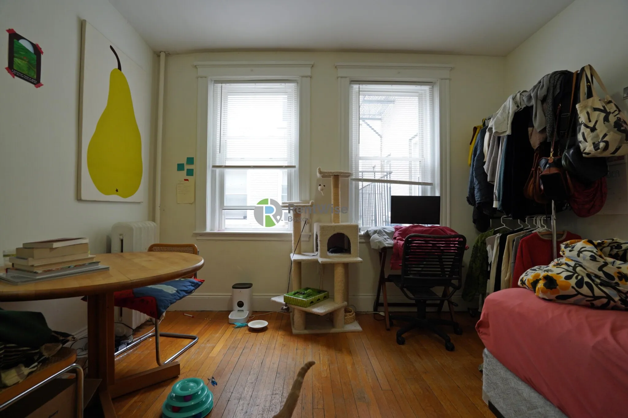 Studio bed, 1 bath apartment for rent at 14 Orkney Rd Unit 32, Brighton — photo 5 of 15