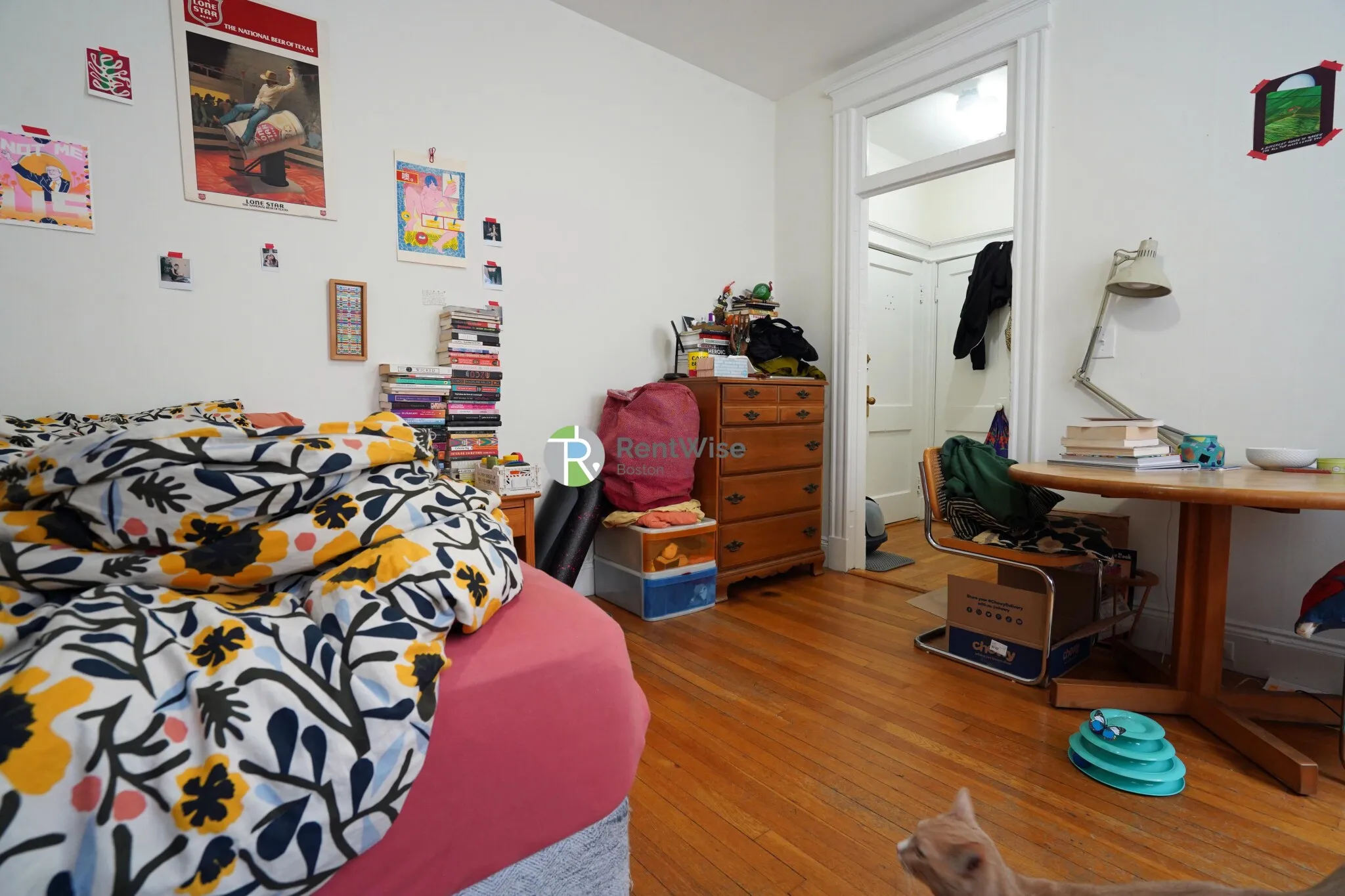 Studio bed, 1 bath apartment for rent at 14 Orkney Rd Unit 32, Brighton — photo 3 of 15