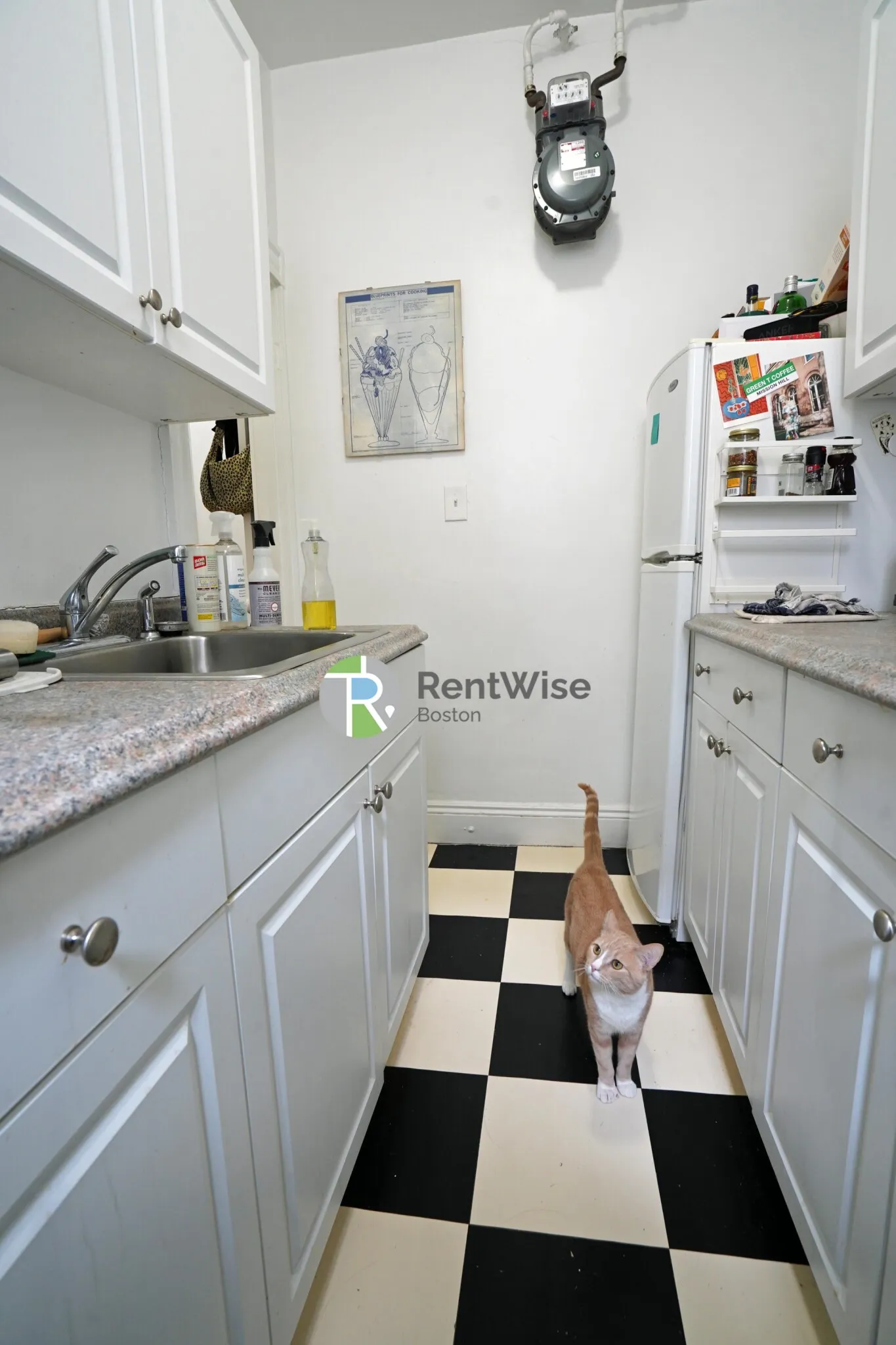 Studio bed, 1 bath apartment for rent at 14 Orkney Rd Unit 32, Brighton — photo 10 of 15