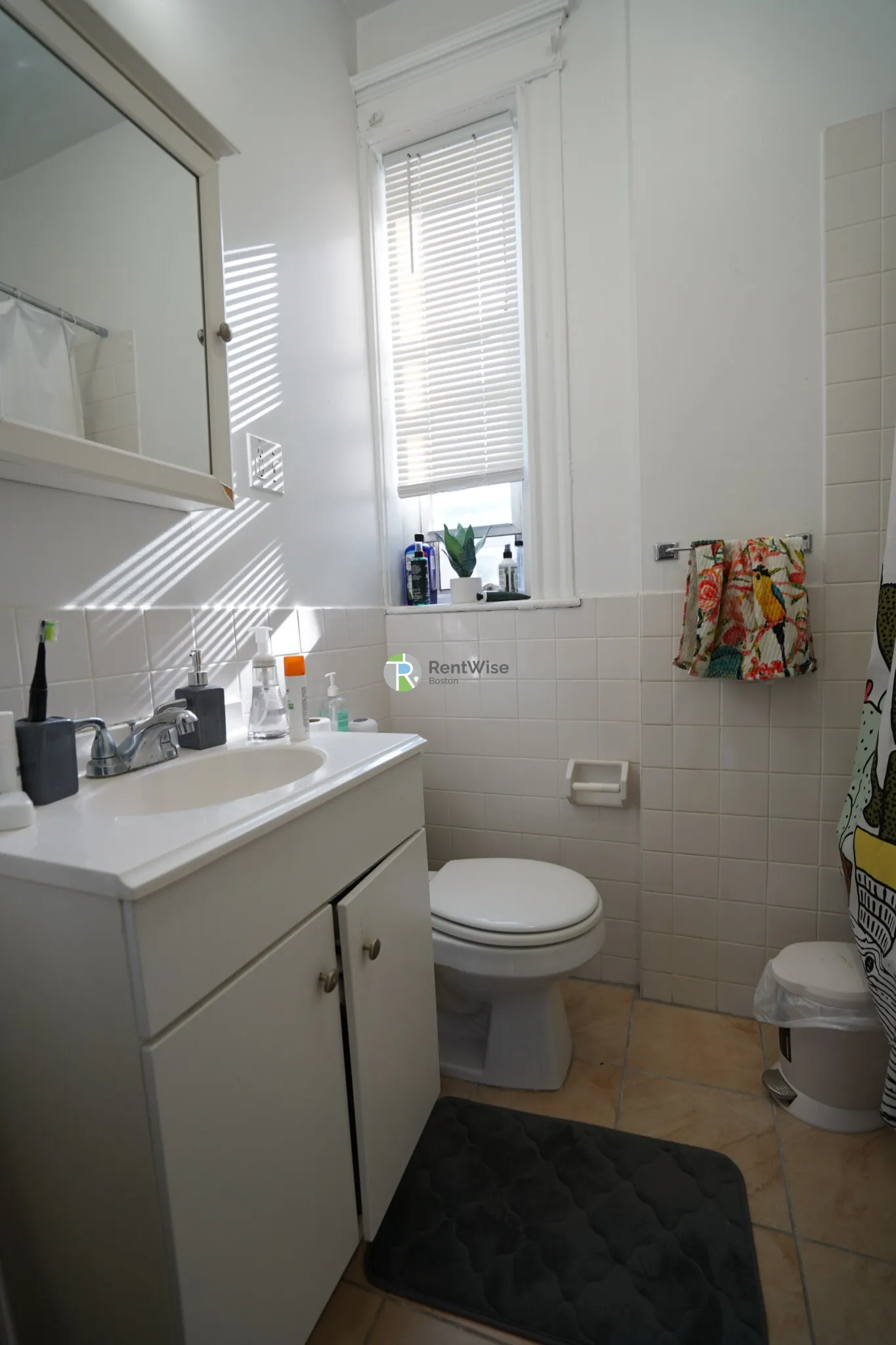 1 bed, 1 bath apartment for rent at 14 Orkney Rd Unit 41, Brighton — photo 4 of 17