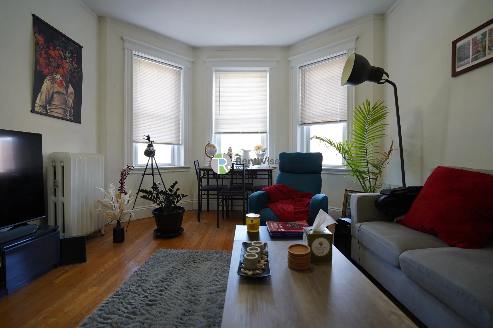 1 bed, 1 bath apartment for rent at 14 Orkney Rd Unit 41, Brighton