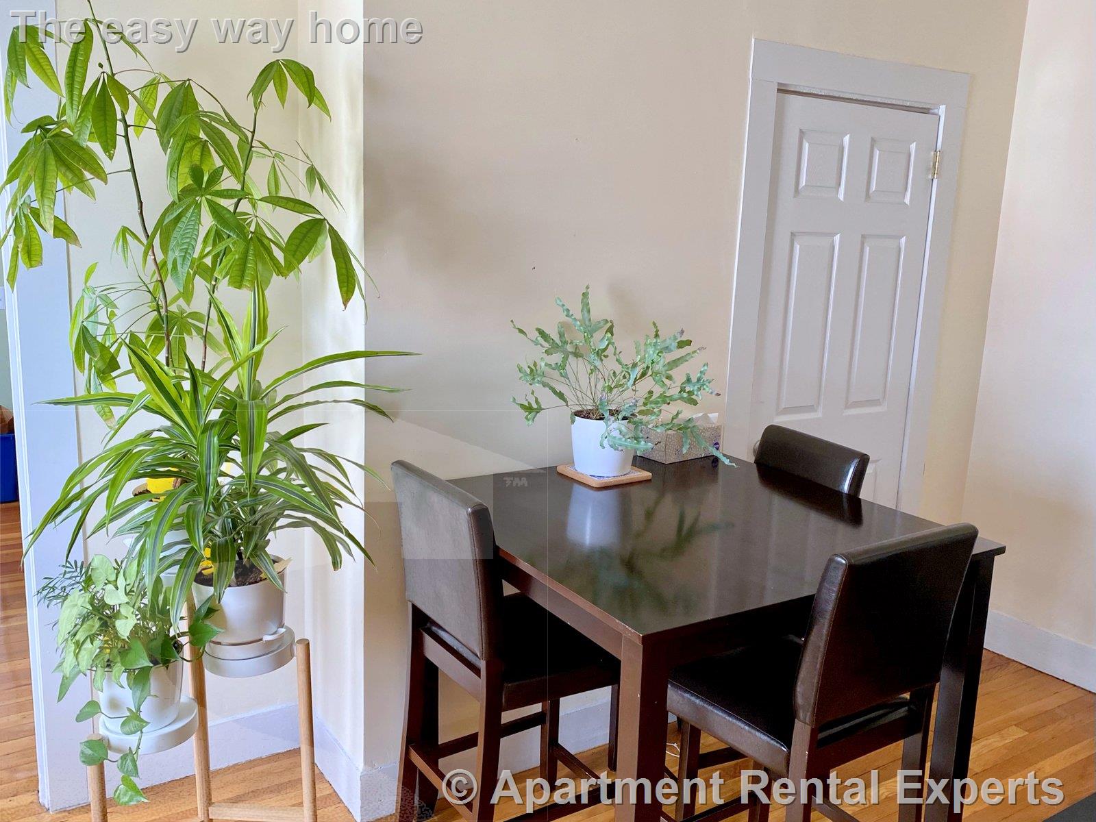 2 bed, 1 bath apartment for rent at 14 Rockland Pl Unit 2, Malden Center — photo 7 of 30