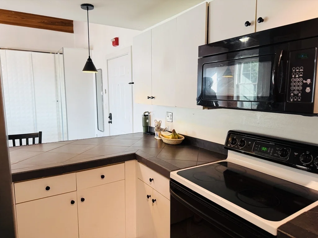 2 bed, 2 bath apartment for rent at 14 Sanford Unit 41, Medway — photo 11 of 31
