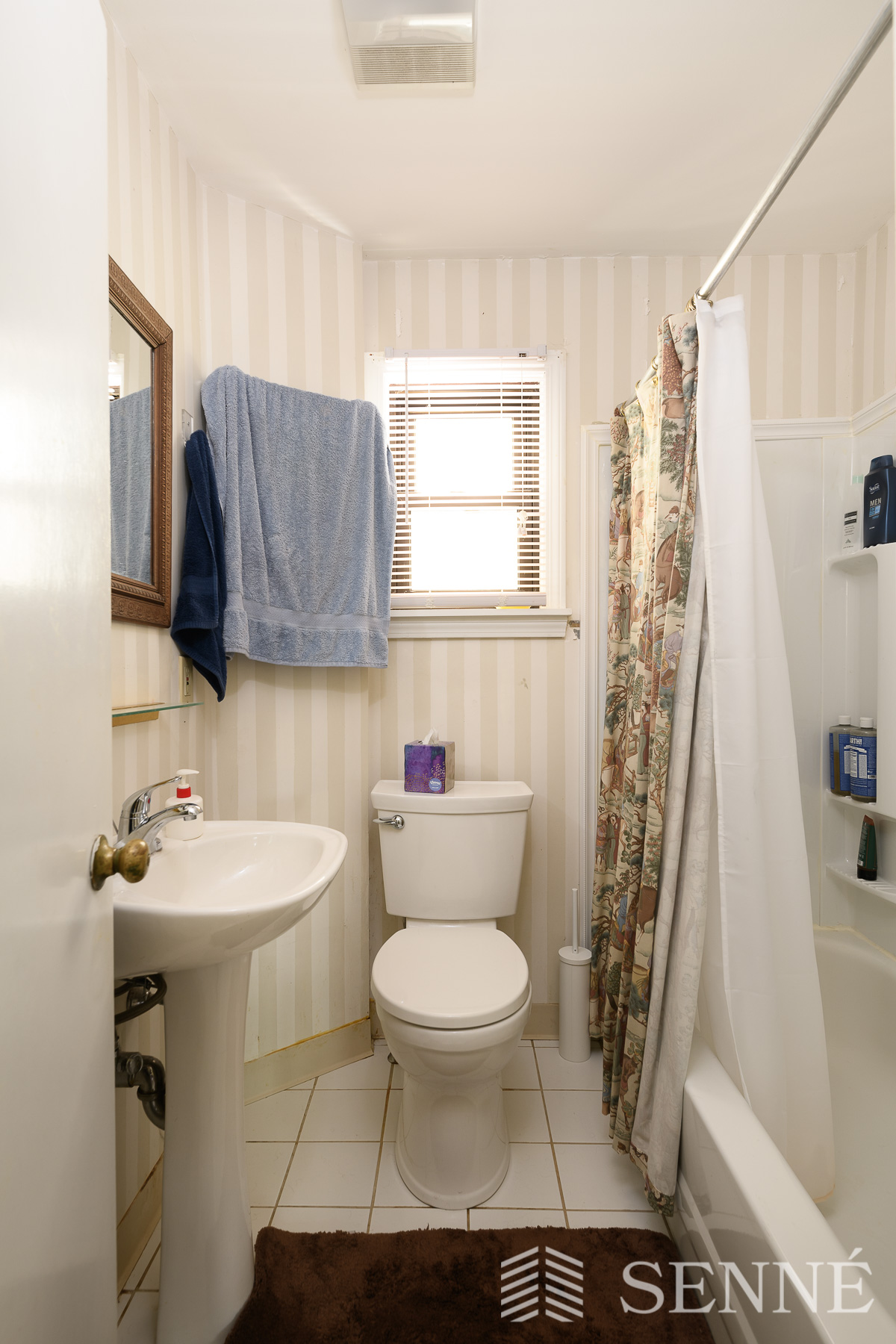 1 bed, 1 bath apartment for rent at 14 Skehan St Unit 1, Ward Two — photo 3 of 8