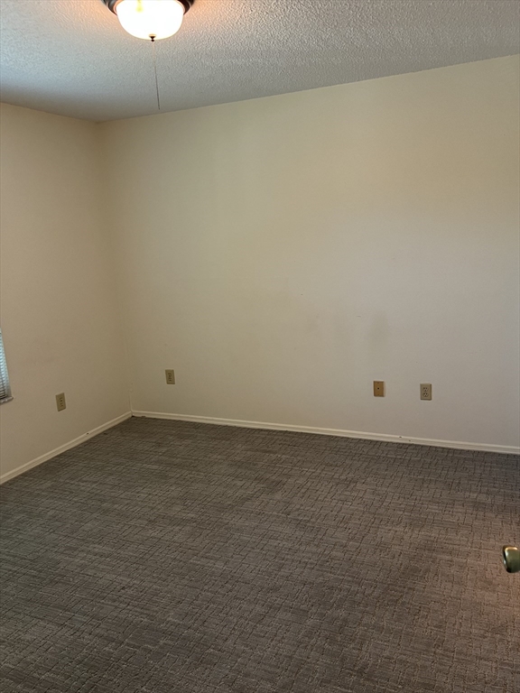 1 bed, 1 bath apartment for rent at 1401 Palmetto Unit 420, Daytona Beach — photo 13 of 26