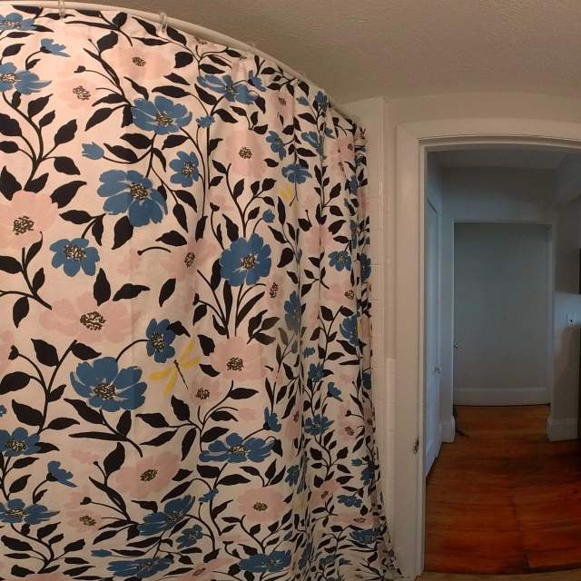 1 bed, 1 bath apartment for rent at 141 Brown St Unit 2, South Side — photo 4 of 11