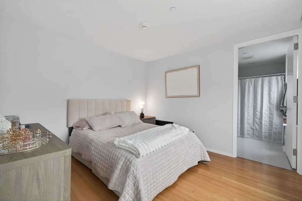1 bed, 1 bath apartment for rent at 141 Dorchester Ave Unit 1005, South Boston — photo 11 of 14