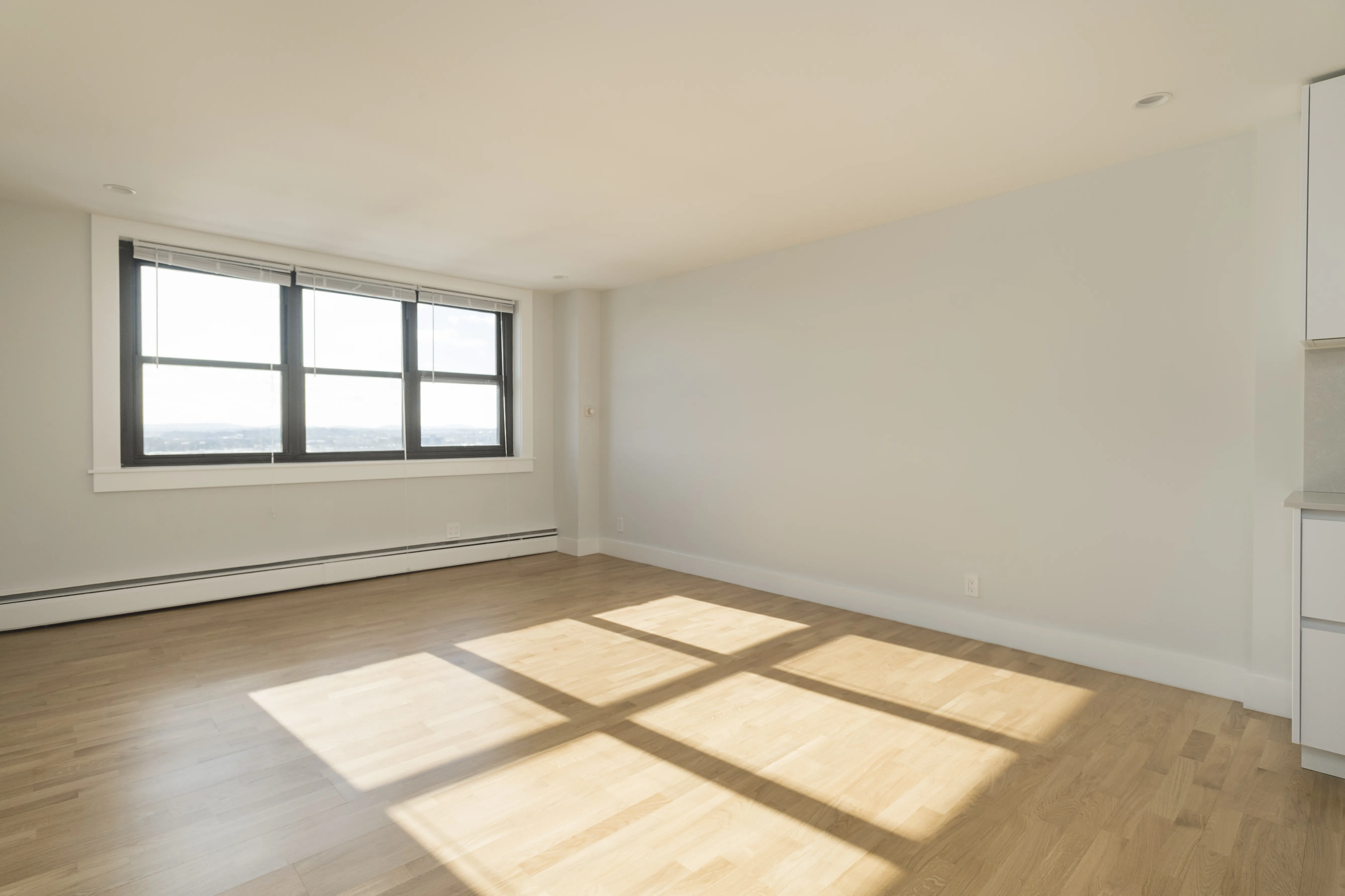 2 bed, 1 bath apartment for rent at 1410 Columbia Rd Unit 10F, South Boston — photo 5 of 22