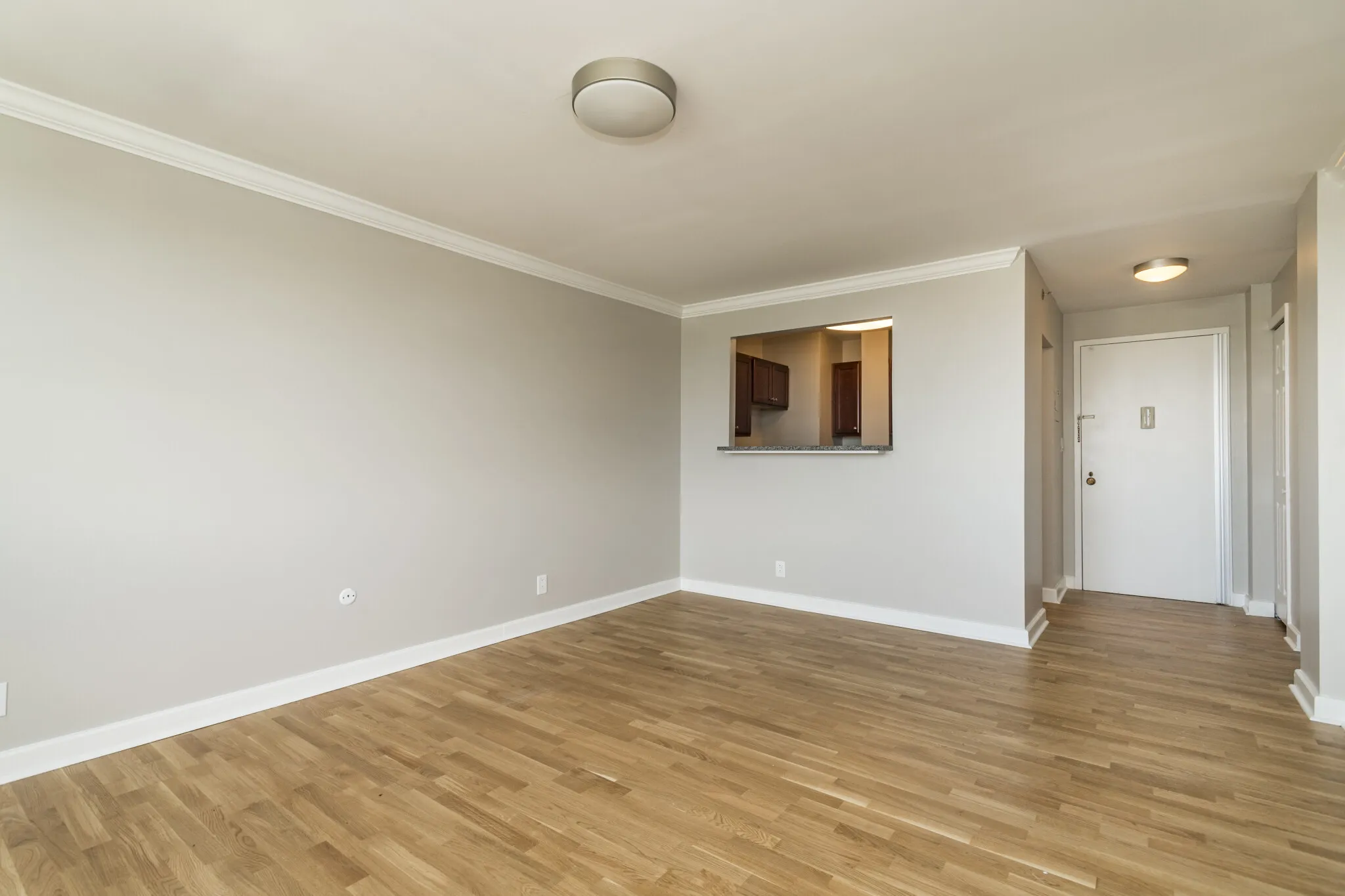 1 bed, 1 bath apartment for rent at 1410 Columbia Rd Unit 16A, South Boston — photo 2 of 17
