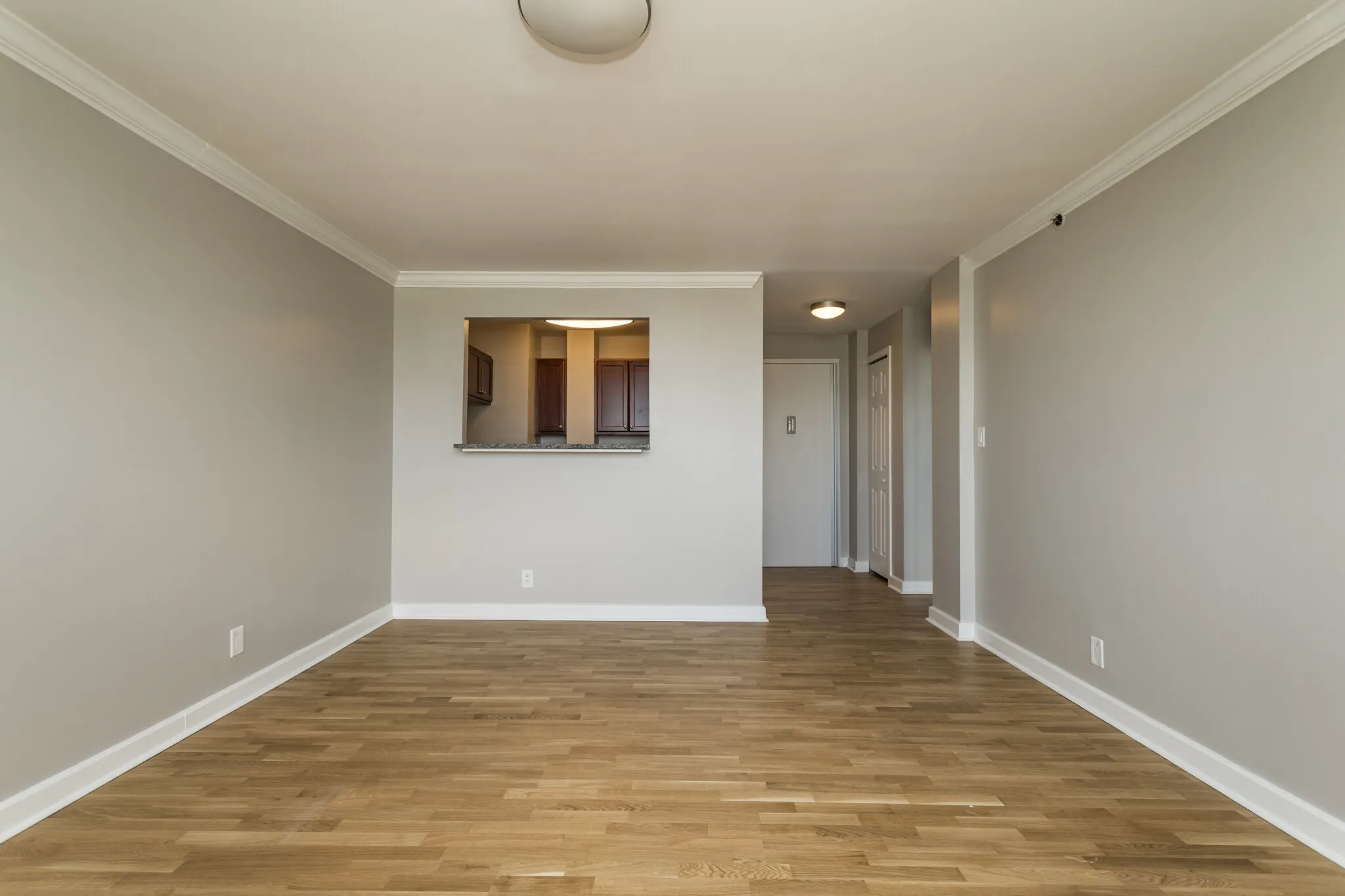 1 bed, 1 bath apartment for rent at 1410 Columbia Rd Unit 16A, South Boston — photo 3 of 17