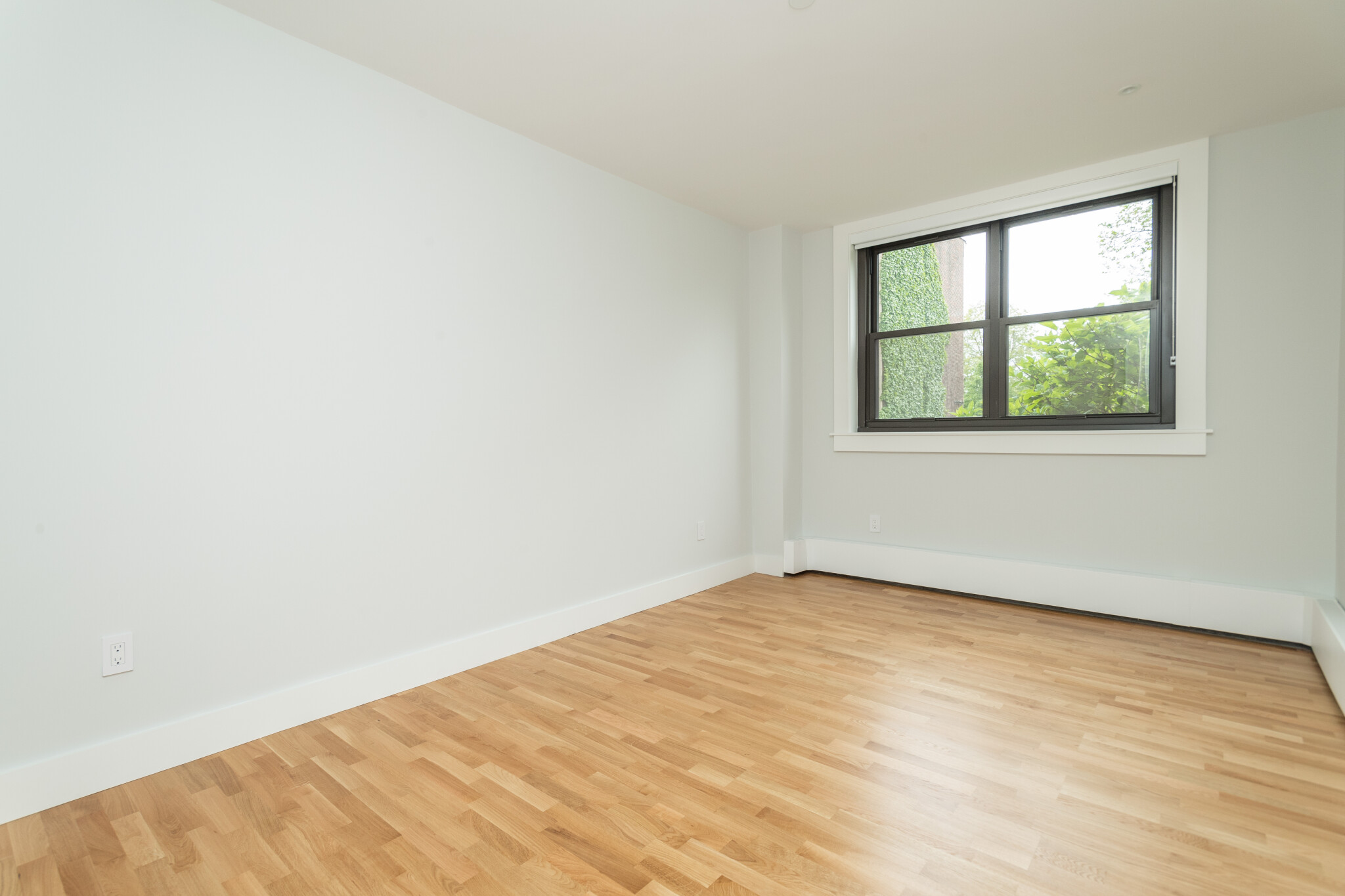 2 bed, 1 bath apartment for rent at 1410 Columbia Rd Unit 1C, South Boston — photo 5 of 22