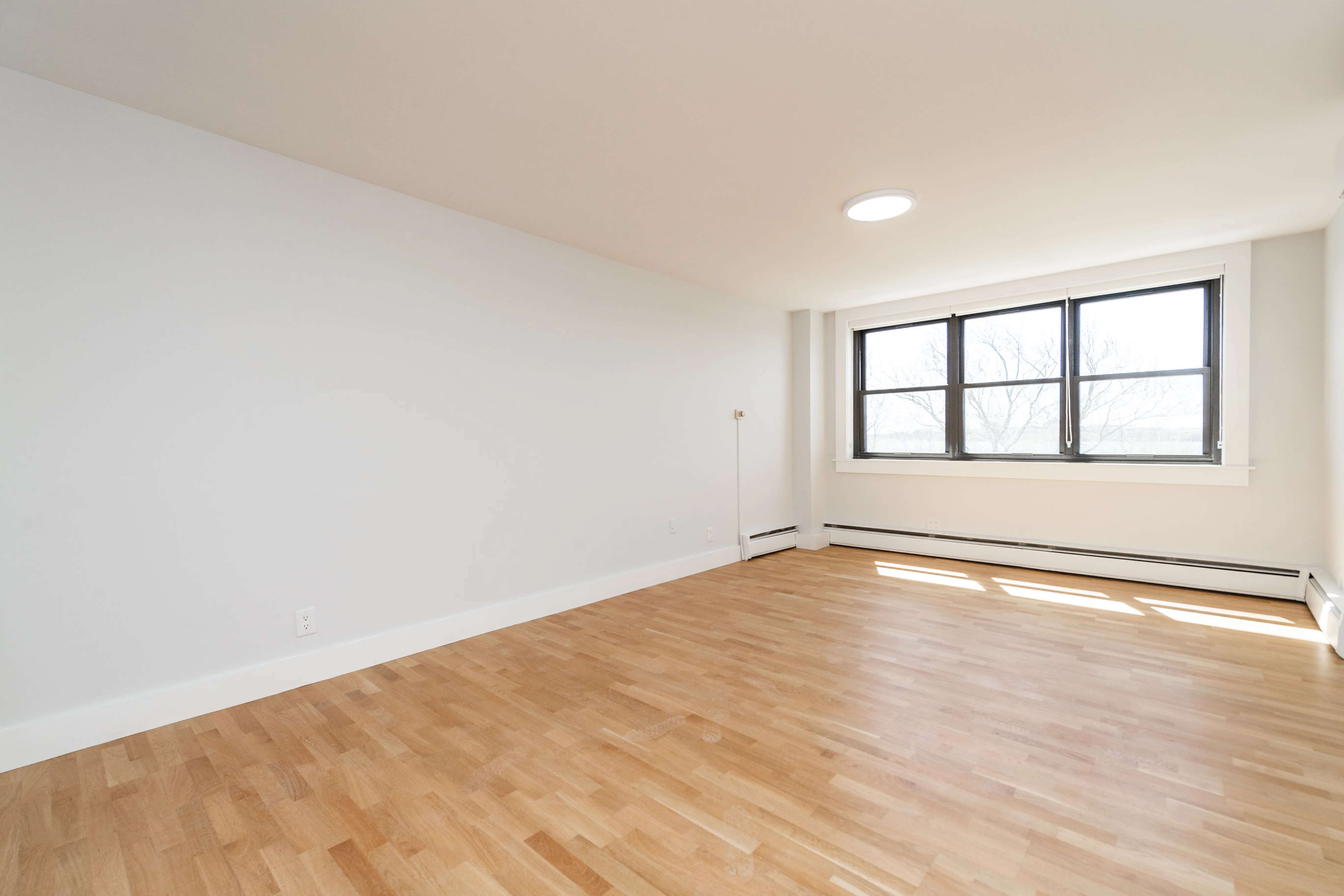 1 bed, 1 bath apartment for rent at 1410 Columbia Rd Unit 4E, South Boston — photo 3 of 17