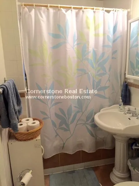 4 bed, 1 bath apartment for rent at 142 Calumet St Unit 1, Mission Hill — photo 3 of 10
