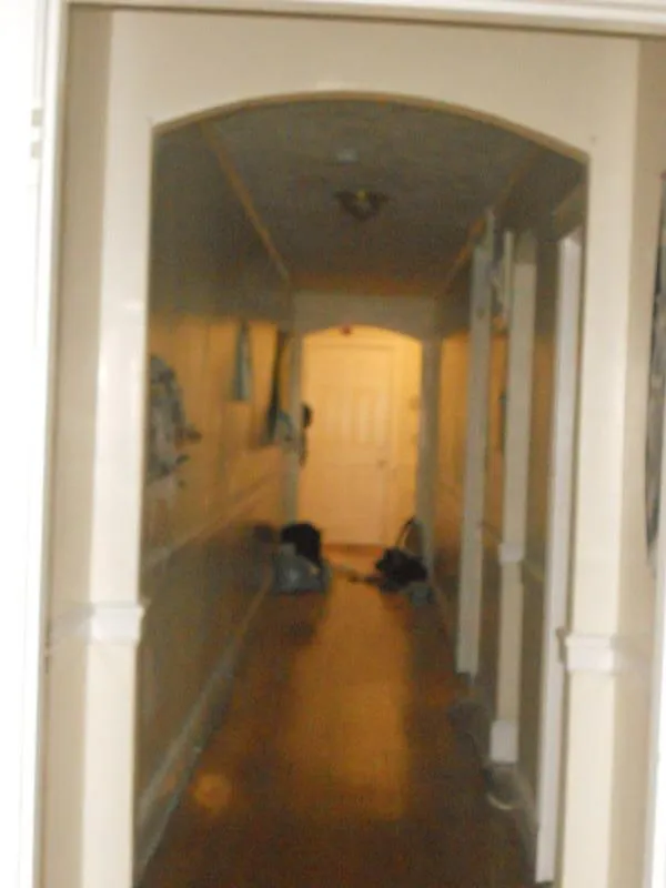 4 bed, 2 bath apartment for rent at 142 Davis Ave Unit 3, Emerson Gardens — photo 3 of 16