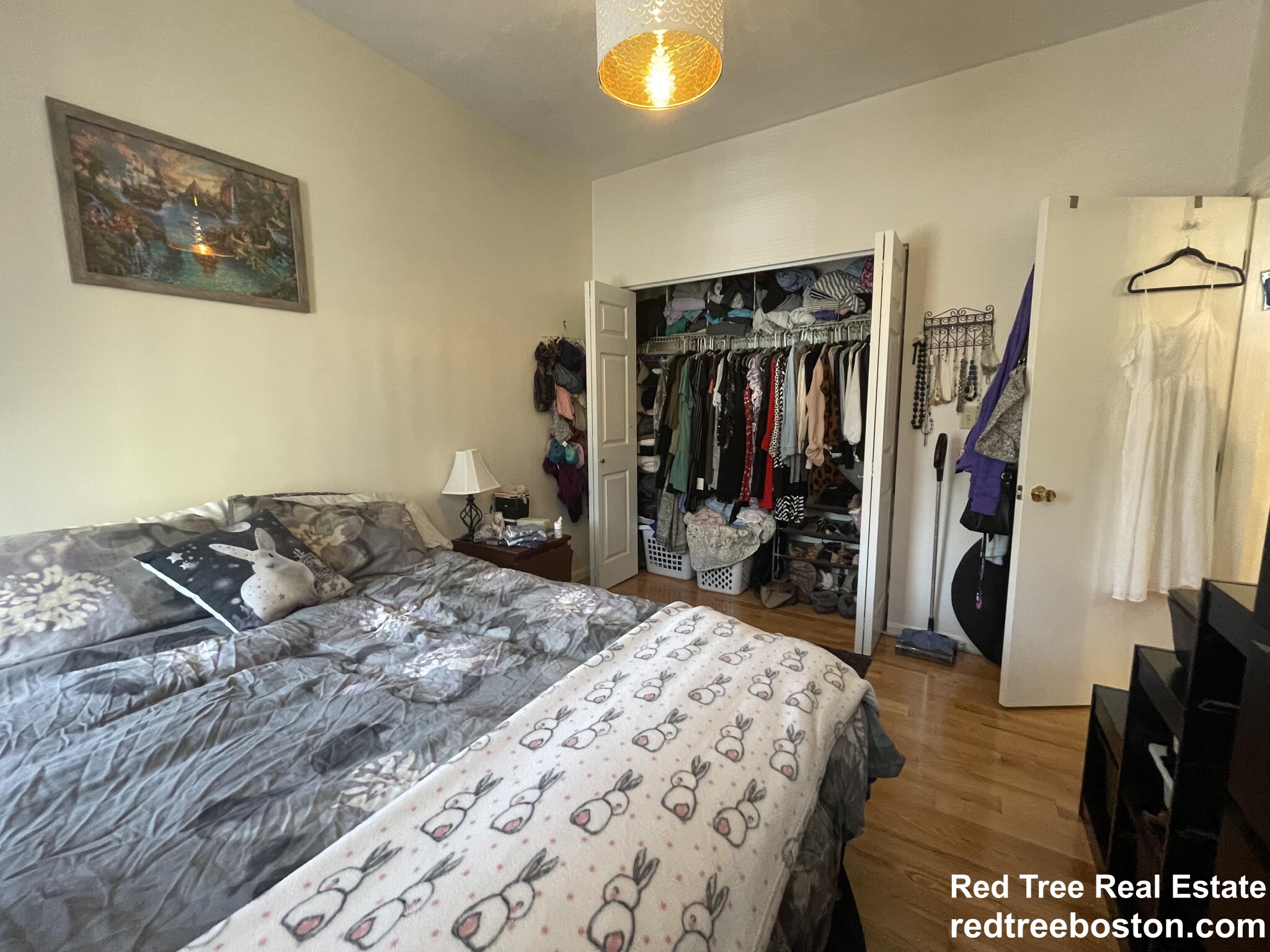 1 bed, 1 bath apartment for rent at 1423 Commonwealth Ave Unit 203, Brighton — photo 8 of 10