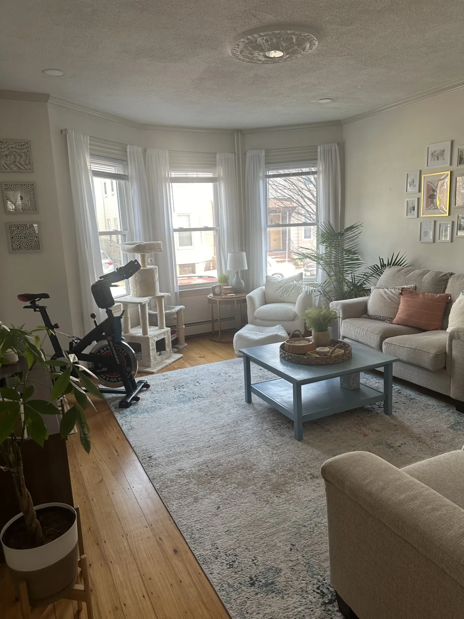 2 bed, 1 bath apartment for rent at 143 L St Unit 1, South Boston — photo 13 of 18