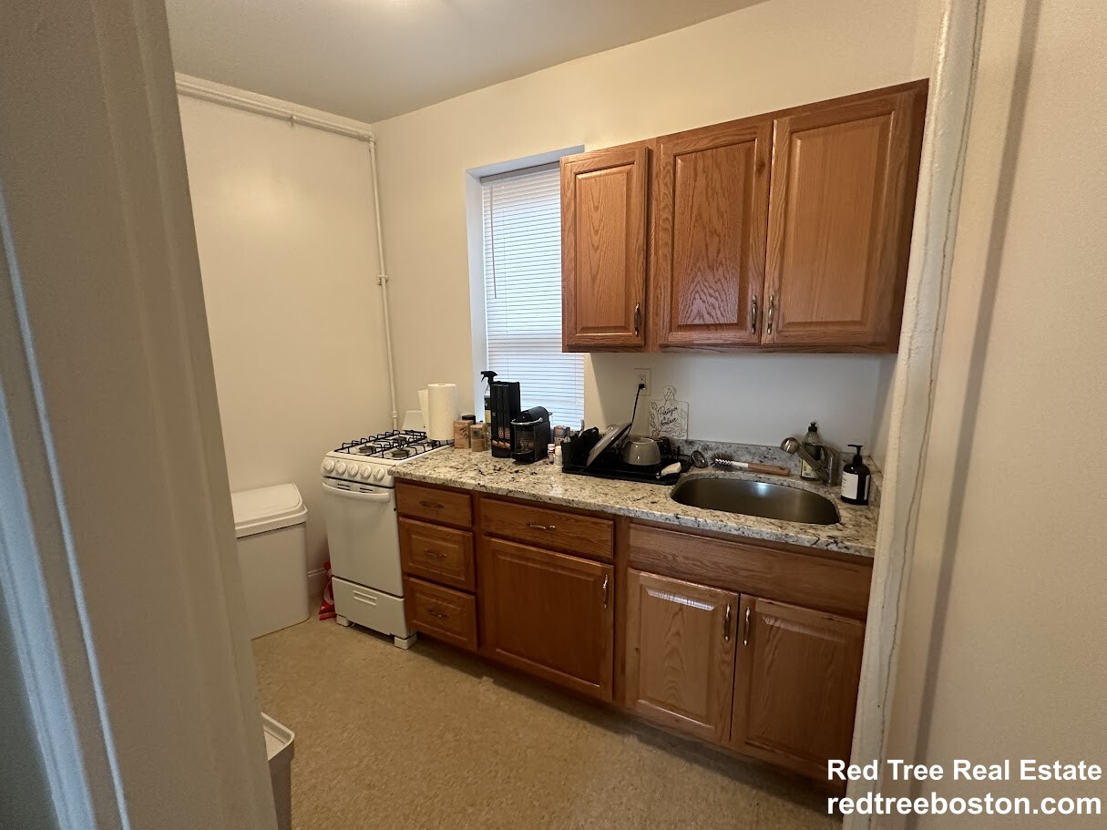 1 bed, 1 bath apartment for rent at 143 Park Dr Unit 43, Fenway — photo 2 of 8
