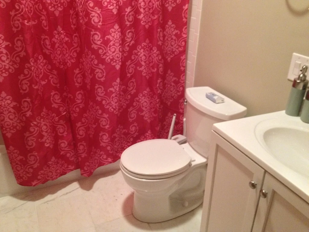 1 bed, 1 bath apartment for rent at 143 Worcester St Unit 1, South End — photo 8 of 9